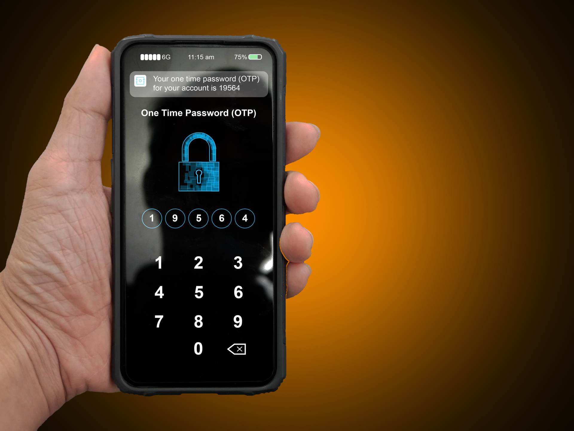password manager interface
